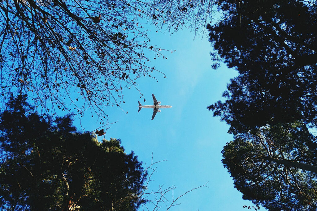 Carbon Offsetting and Green Tickets: Airlines Embrace Eco-Friendly Measures